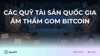 Các quỹ tài sản quốc gia âm thầm gom Bitcoin